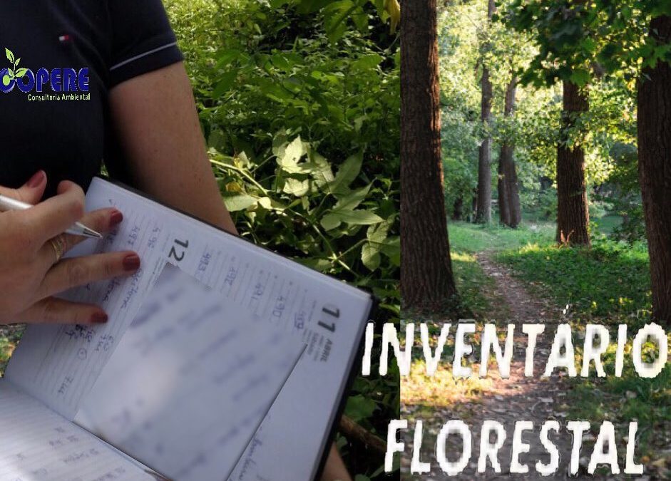 Inventário Florestal